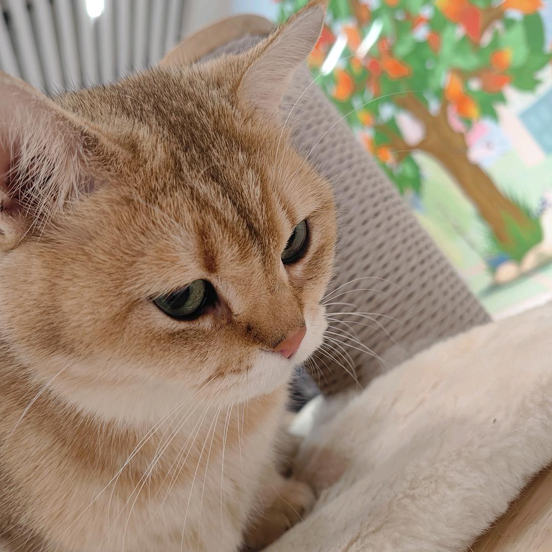 不知道取什么名字