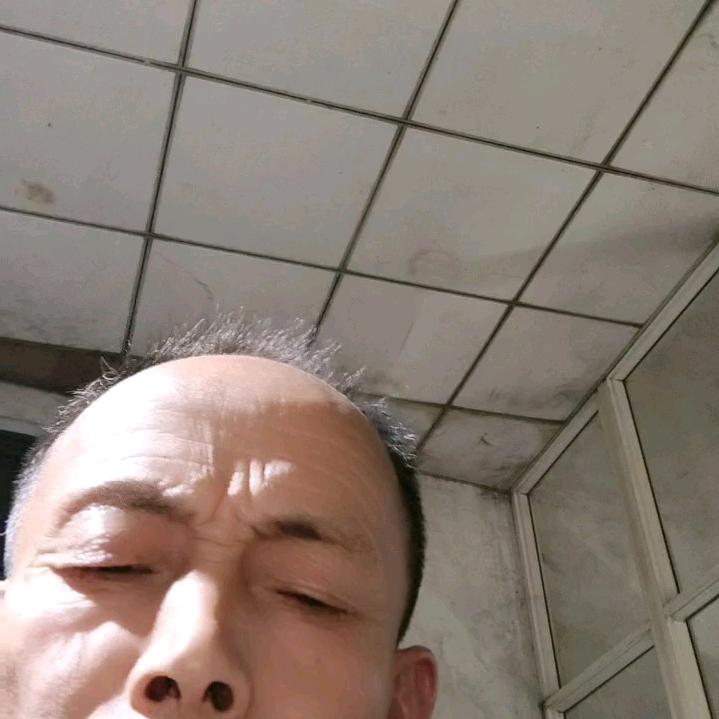 张新林