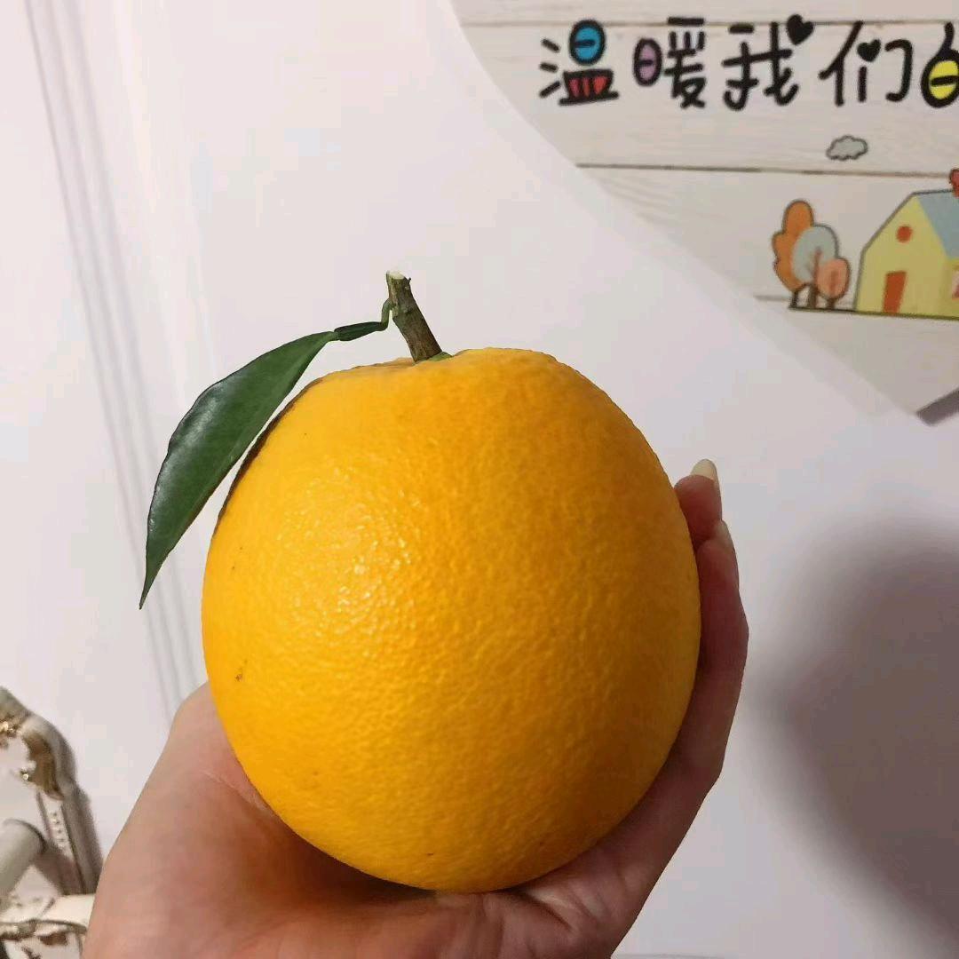 利利记录美好生活