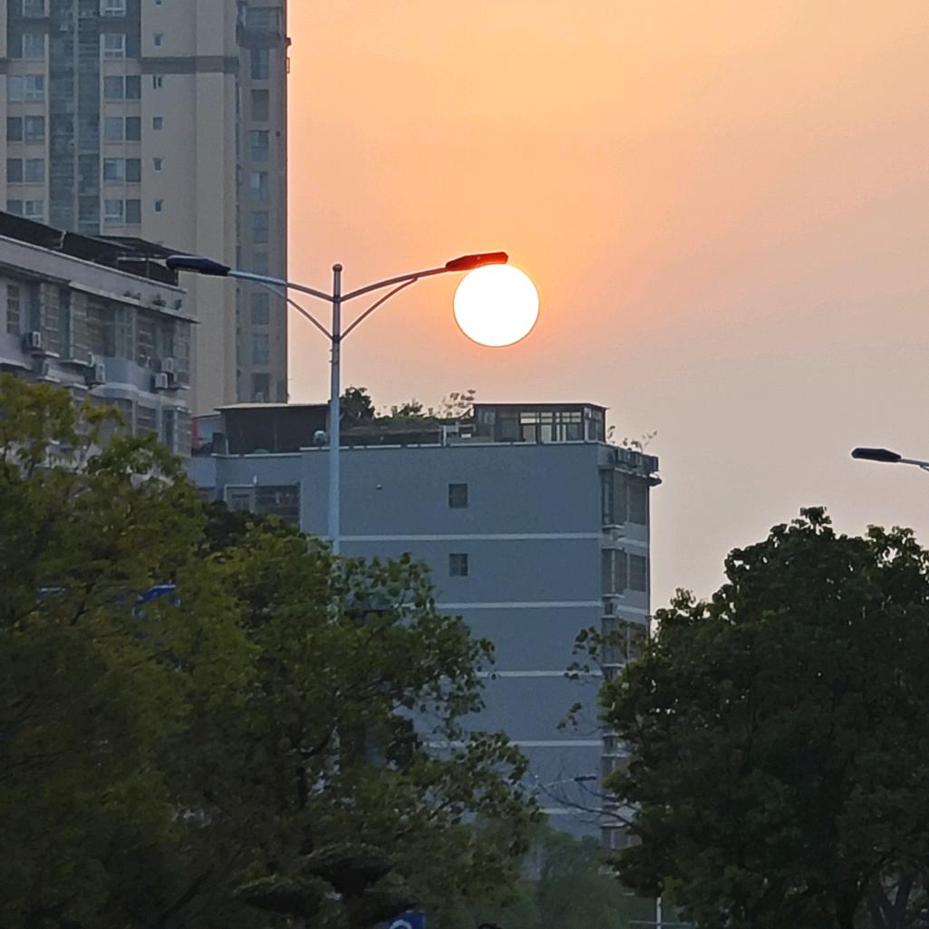 东方树叶茉莉花茶