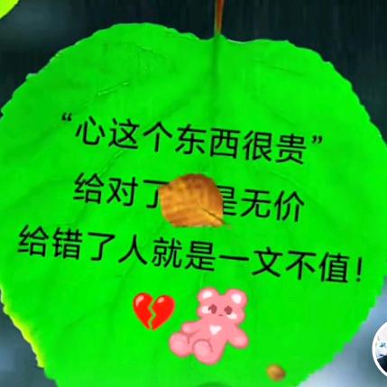 娱乐视频