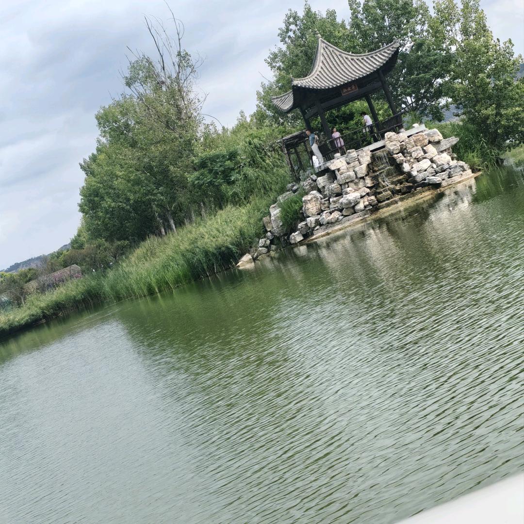 花朵花🌸