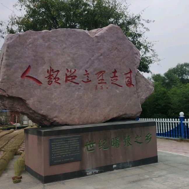 扬帆启航++