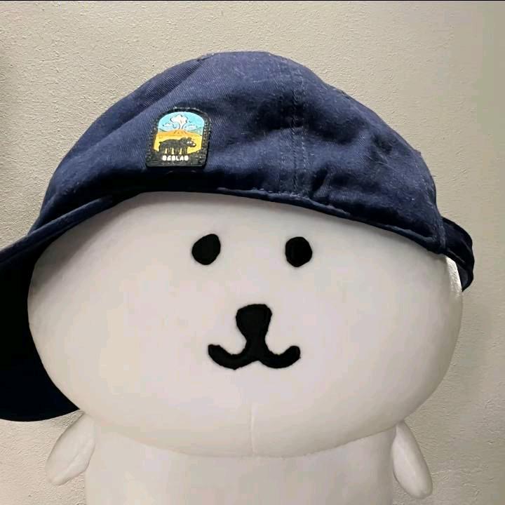 海胆