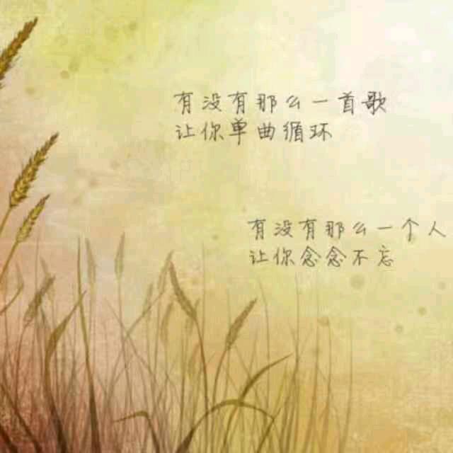 淡定若水