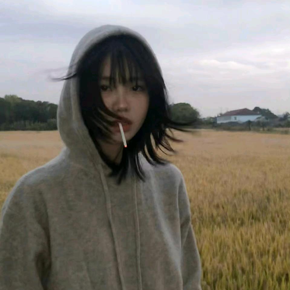 遇见我了笨蛋