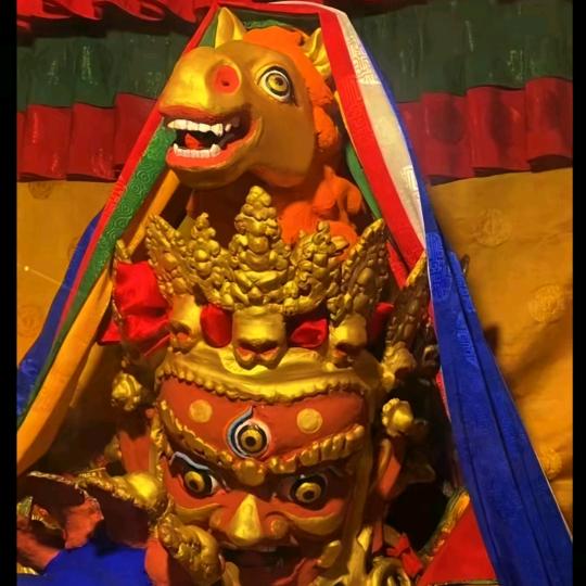 金牌骑手热旦 爱马如命🏇