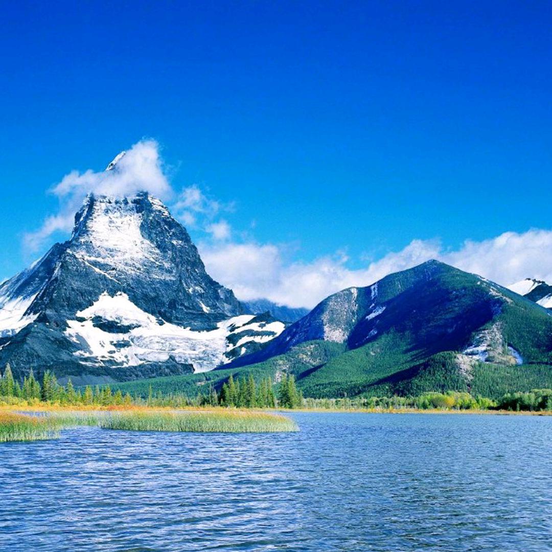 ℳঞ兜里໊🌿半颗糖🍬