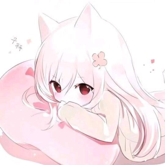 猫奴