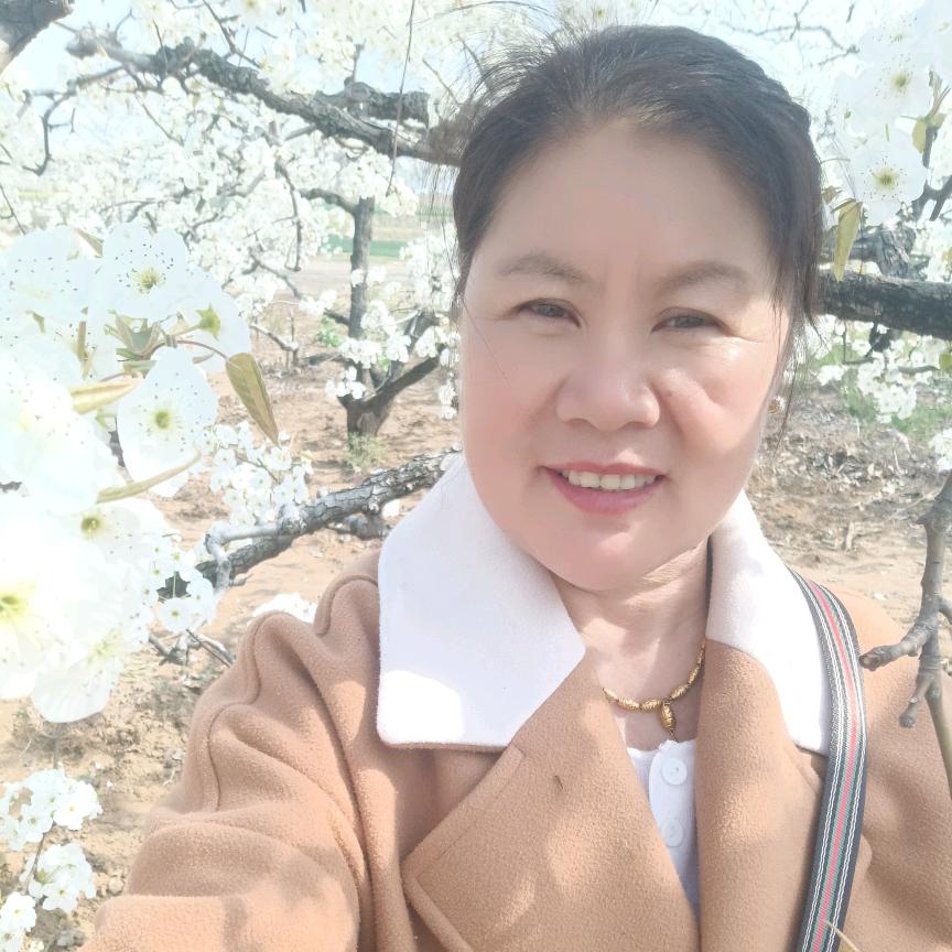 山东省，枣庄市，薜城区服装厂招工。