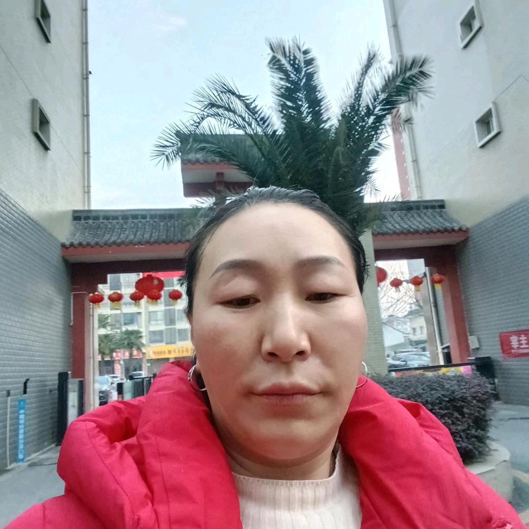 🌹🌹🌹张春菊🌹🌹🌹