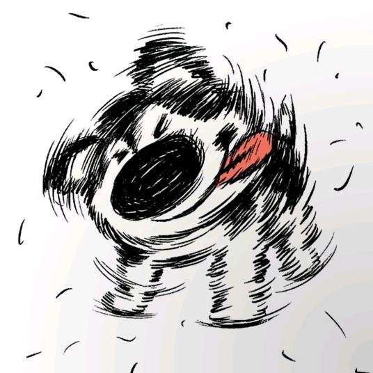 小绒毛🥝