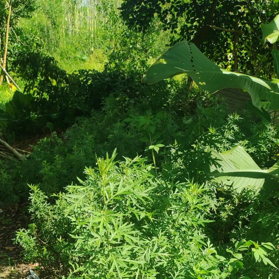 爱做手工的包租婆