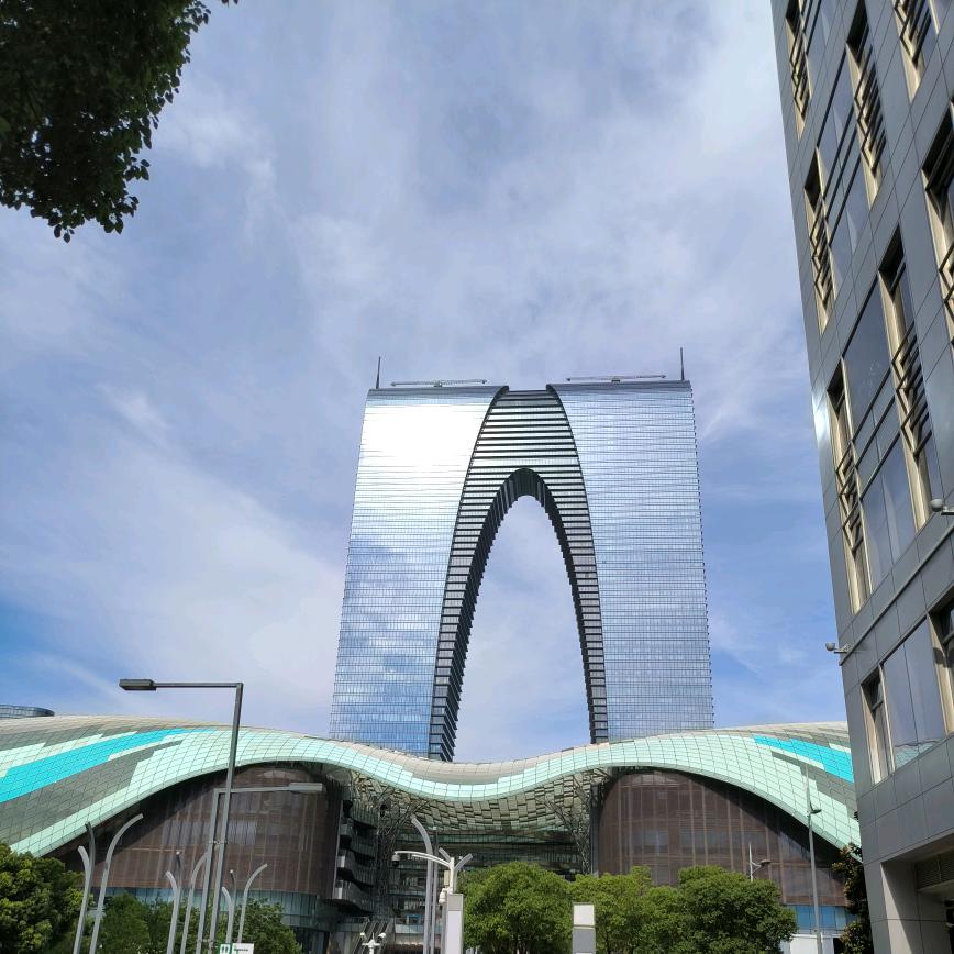 苏州市桂花树