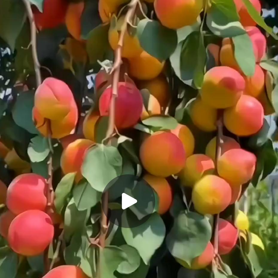 **********