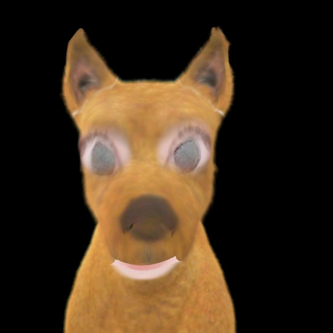 狗不如意