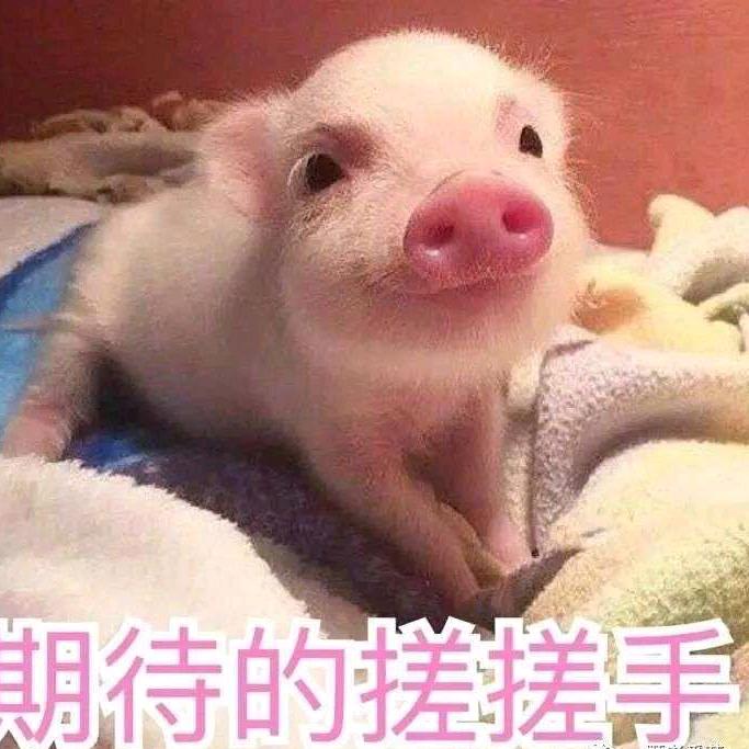 西伯利亚最后的深情