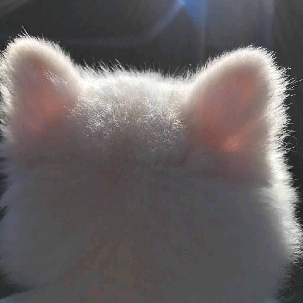 Soft（狼人版
