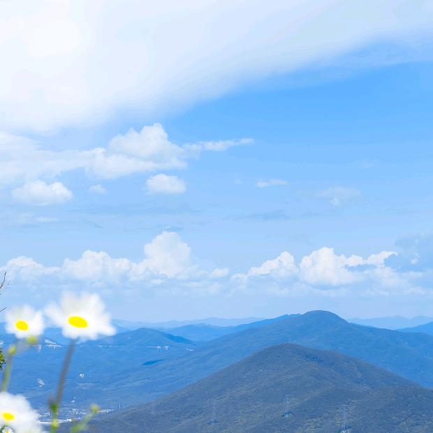 爱到顶峰