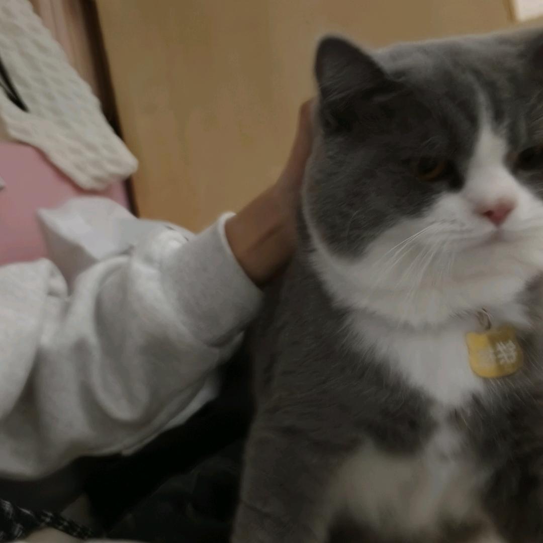 阿婪不是甜妹（3.16）