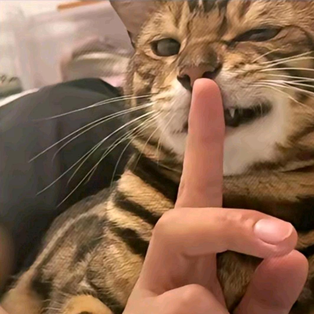 特种兵王