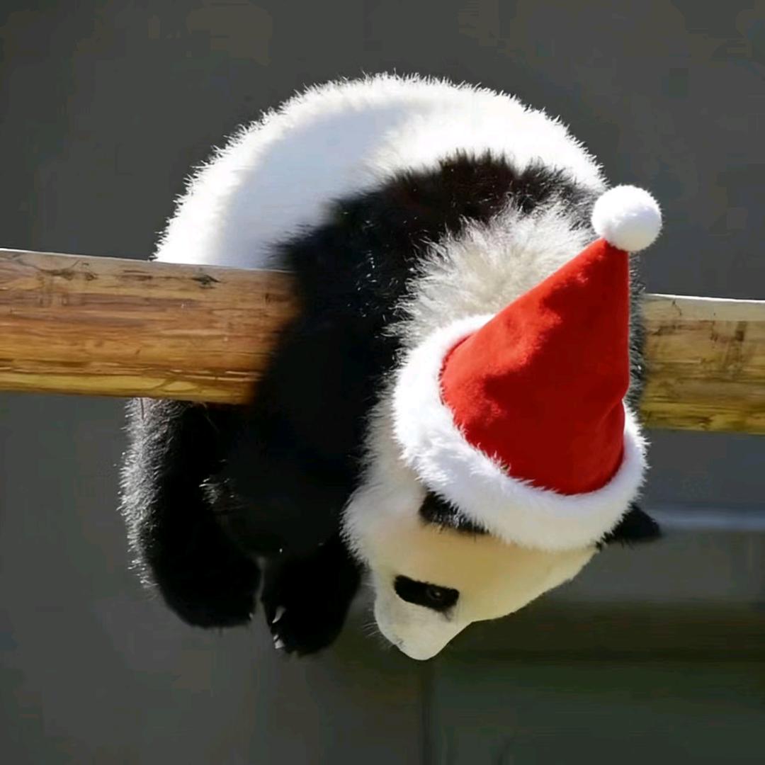 泉