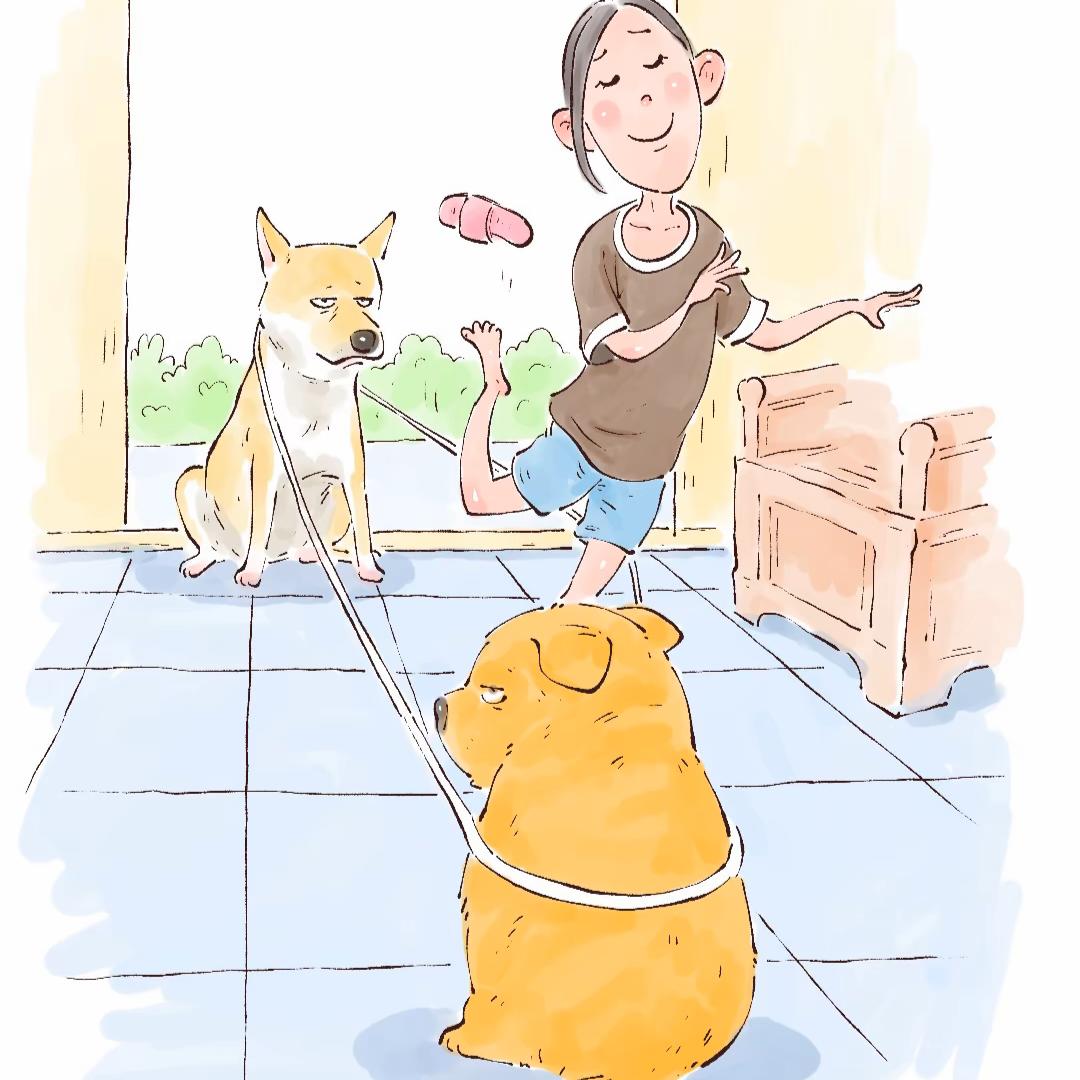 奶瓶🐶日常分享