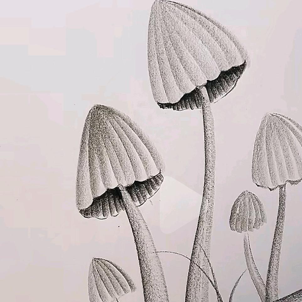 我若是不坚强，懦弱给谁看小兰花