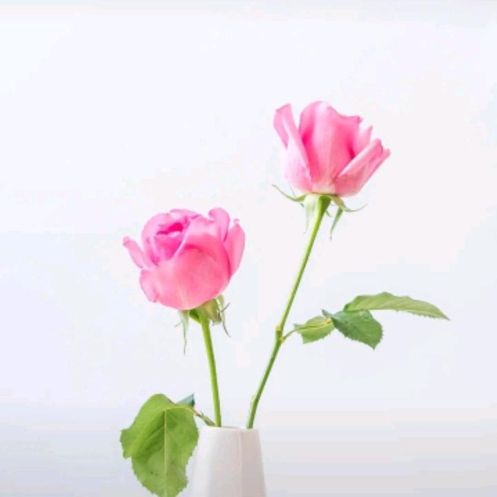 袁姐购物百货好
