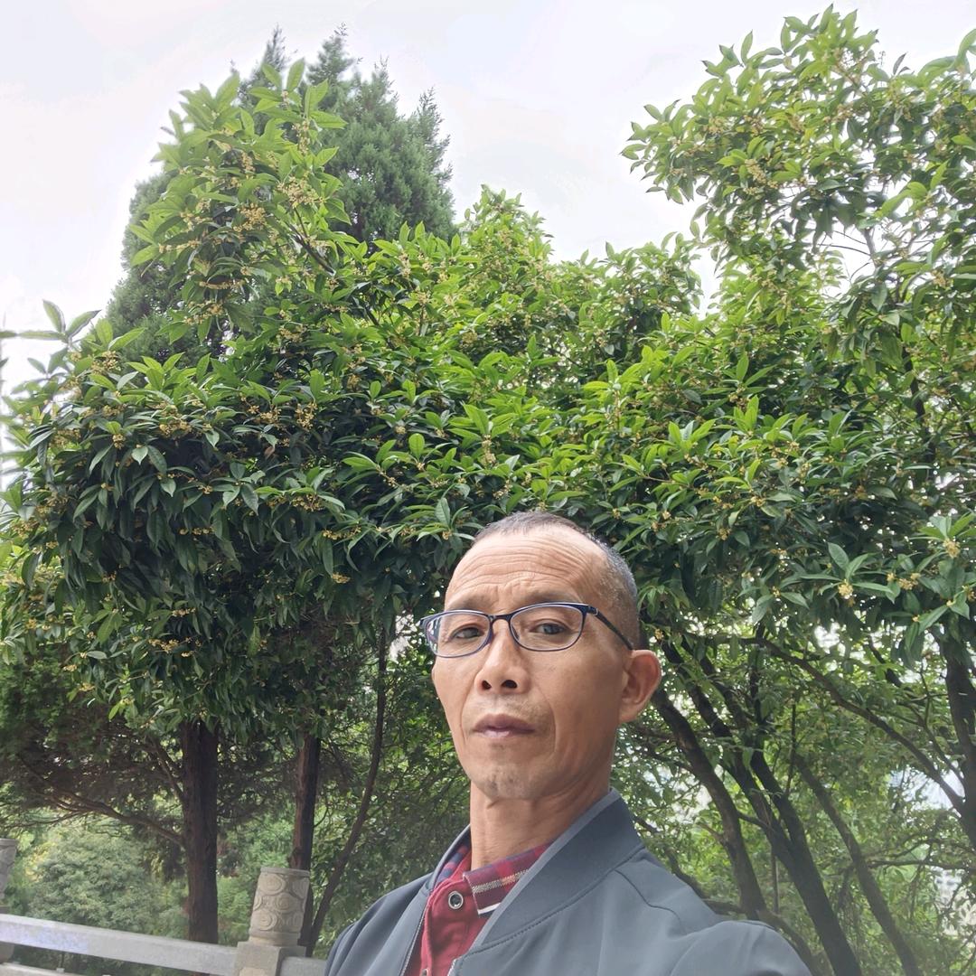 真心相对