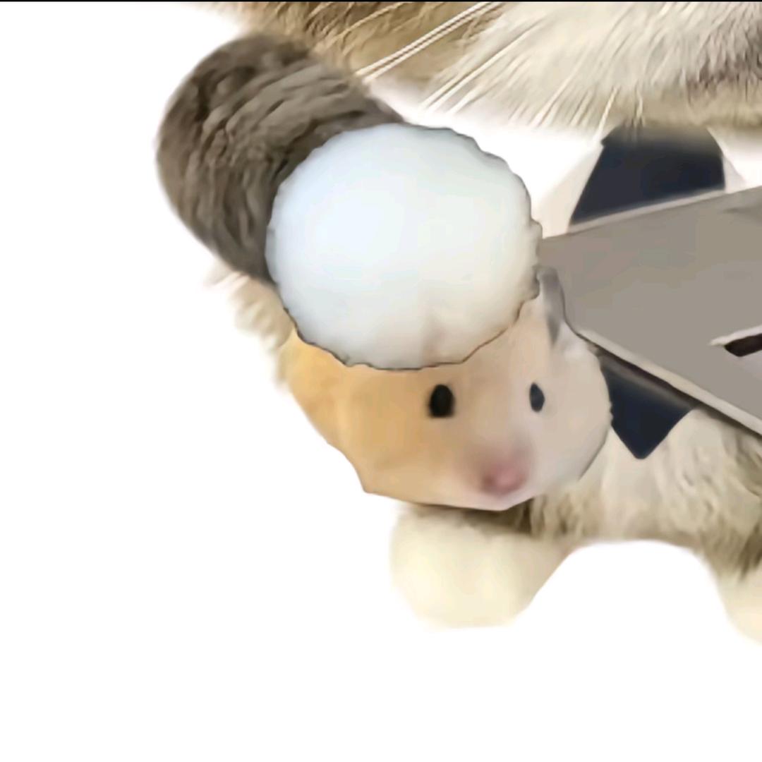 王佳