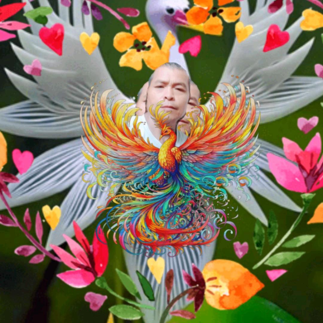 彪哥