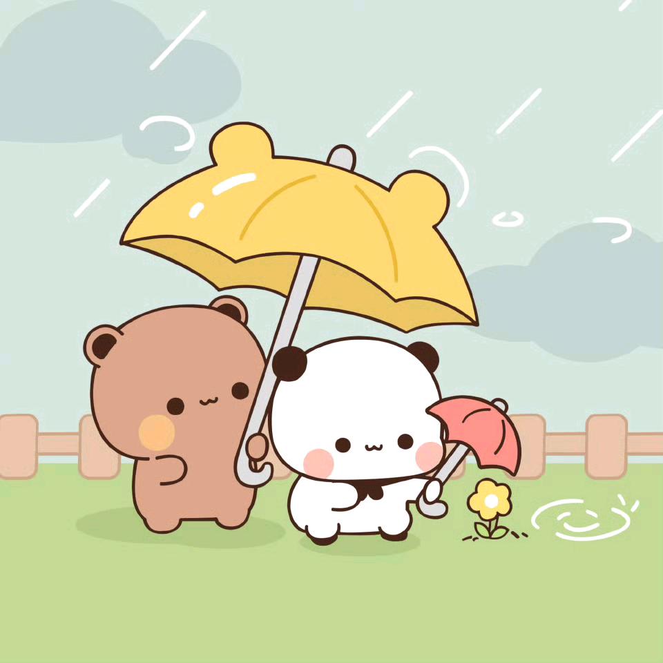 一二爱布布