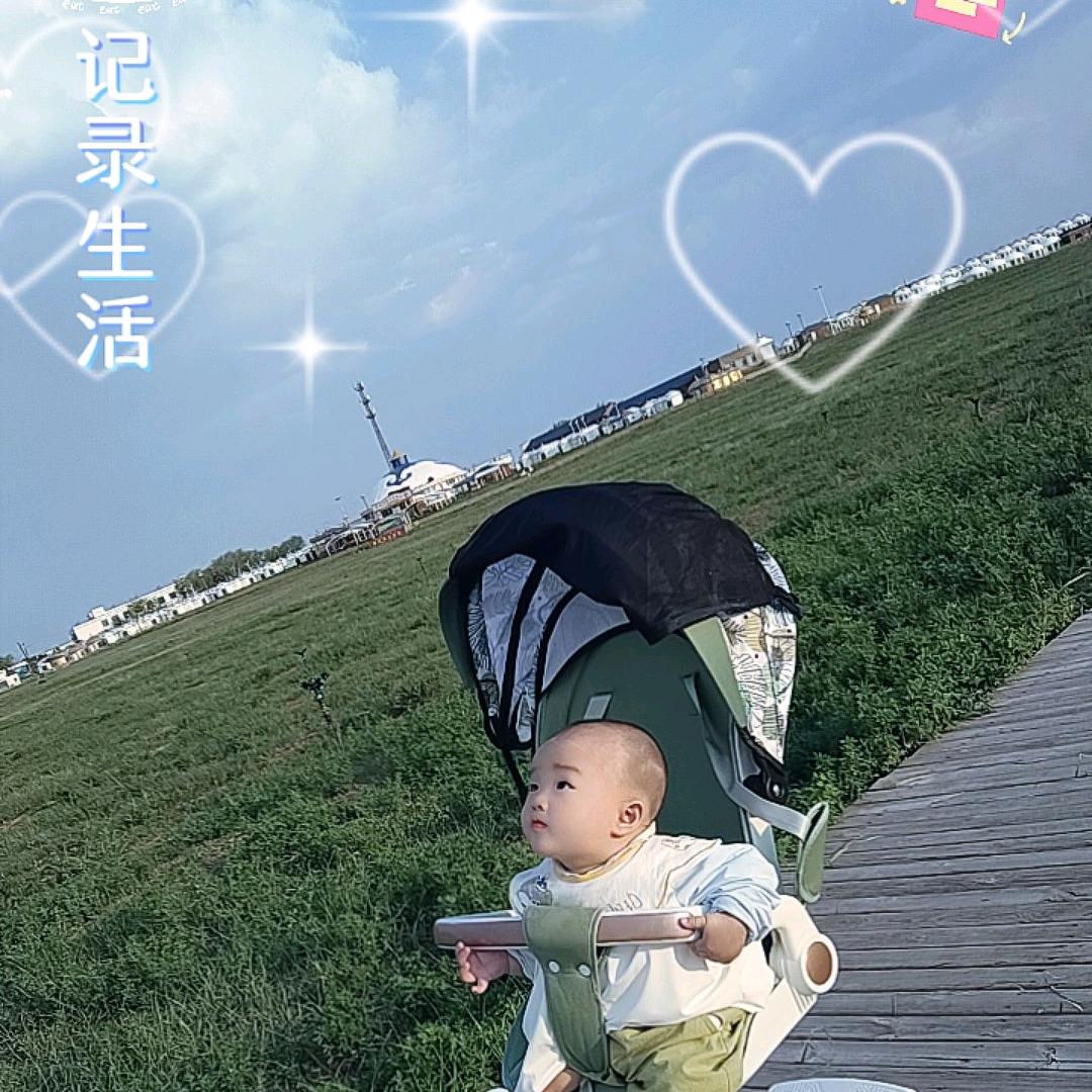 王者归来，祥瑞降世，福泽天下