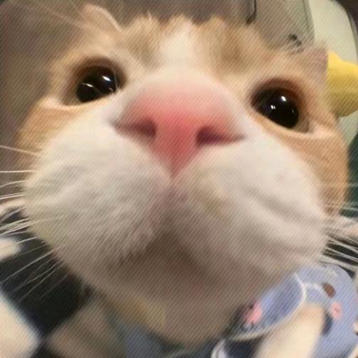 邪恶小薯条