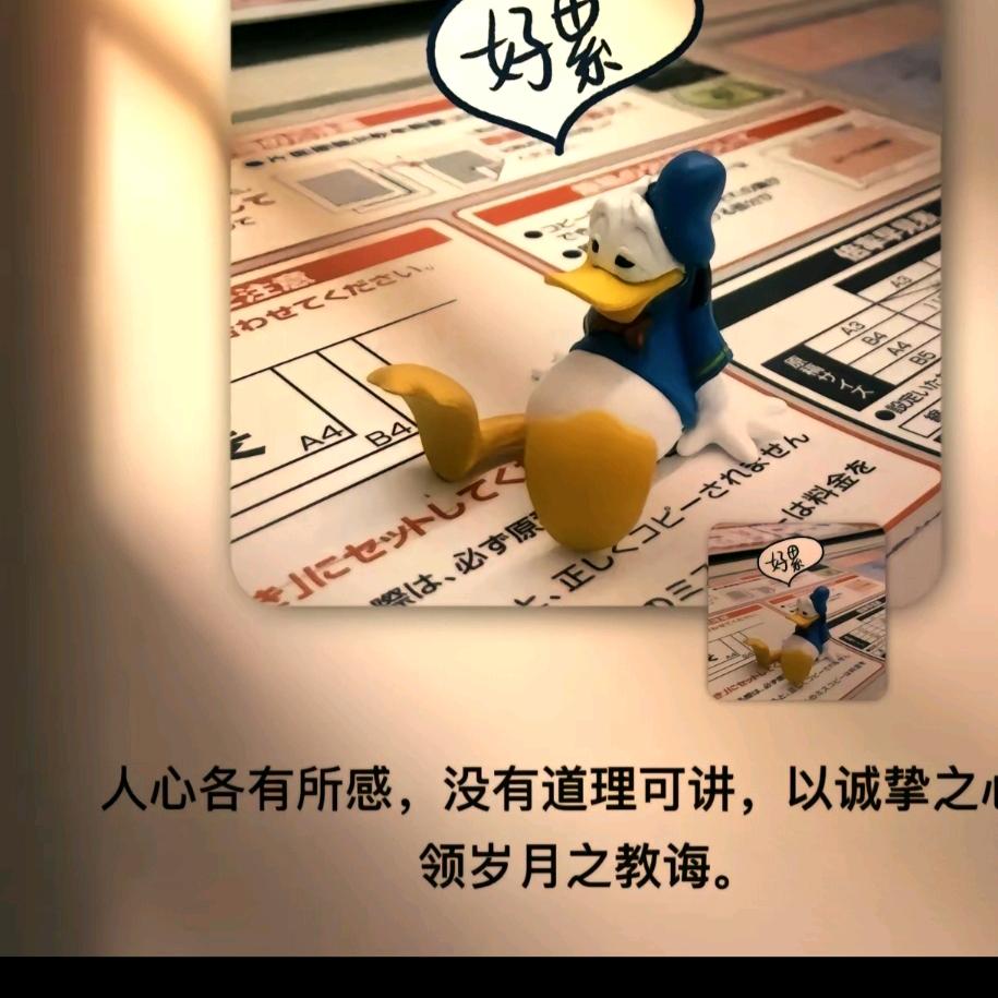 藓生钛壞