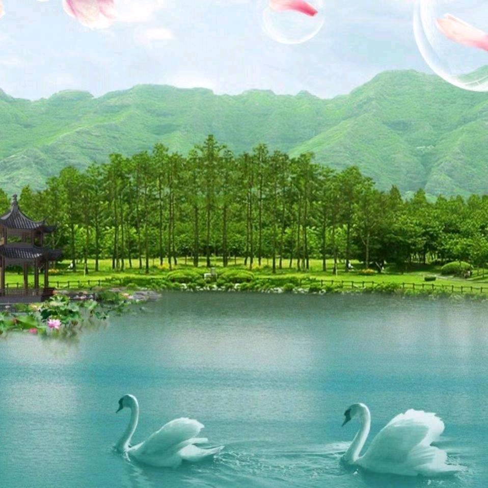 保心丸