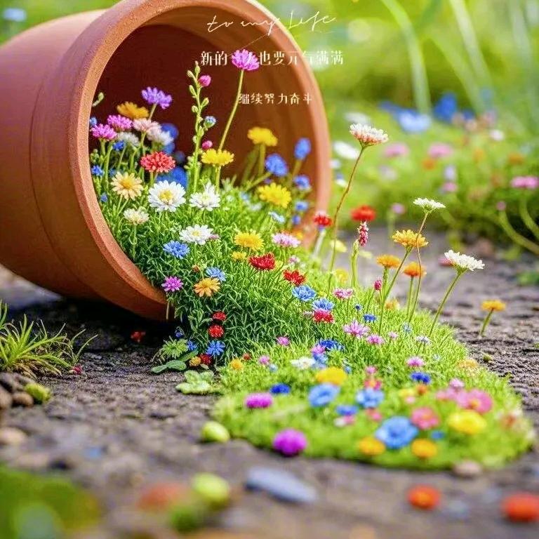 🥀ℒᎭℯ雪ꦿ҉᭄儿࿚ནོ⁵²⁰