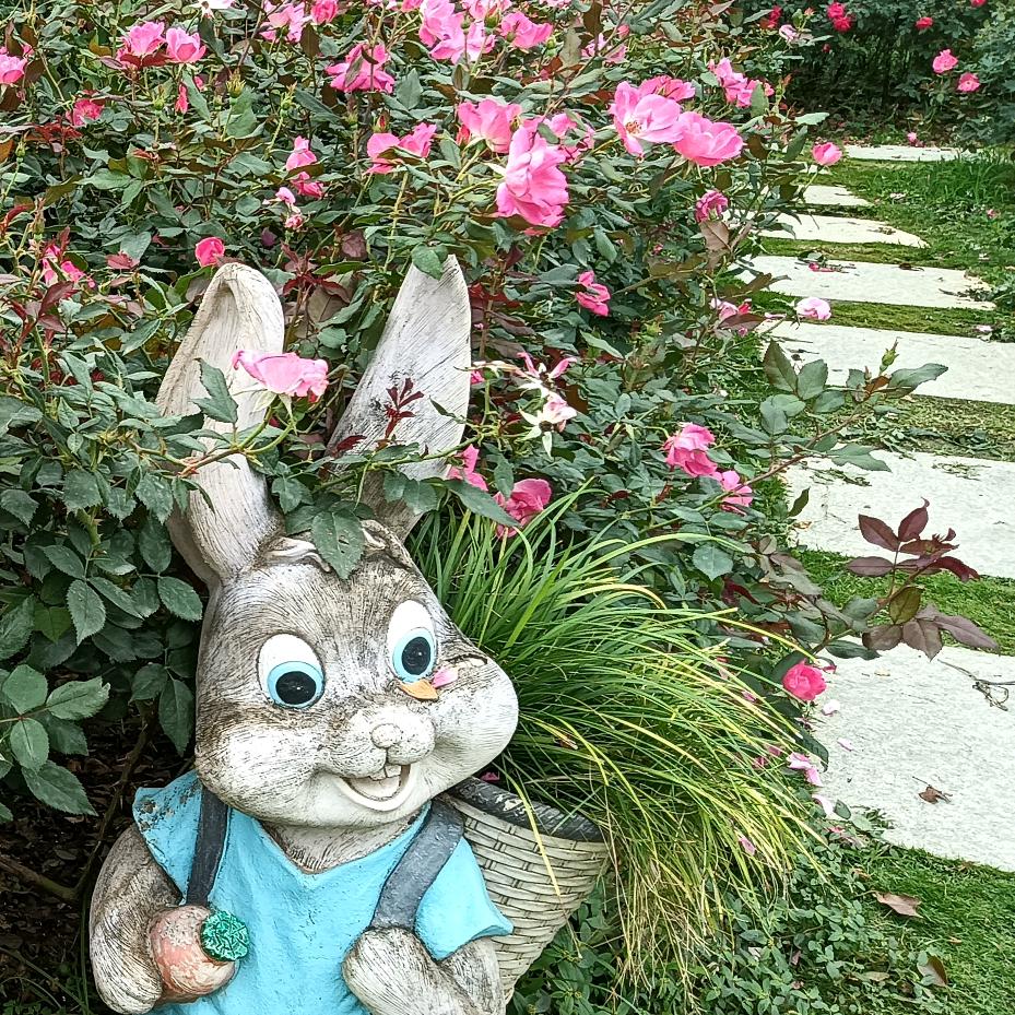 Lyy