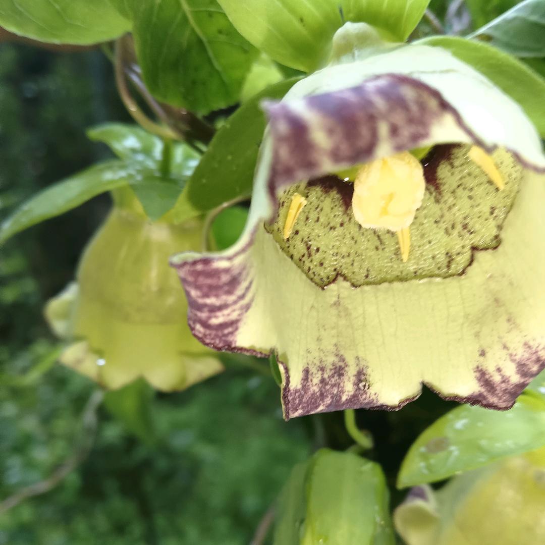 小确幸，日落去看海