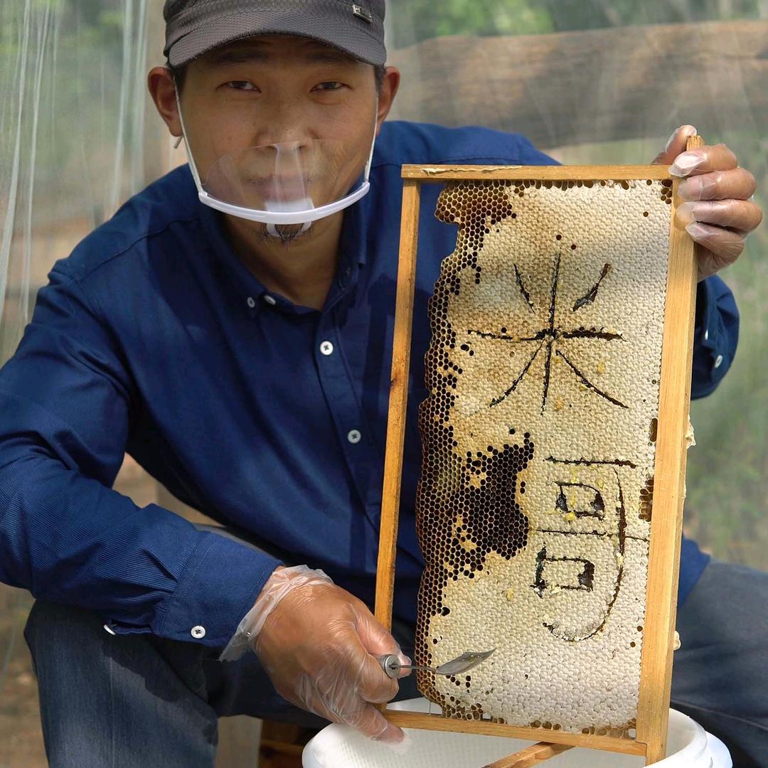 东蜂养殖场（米哥）