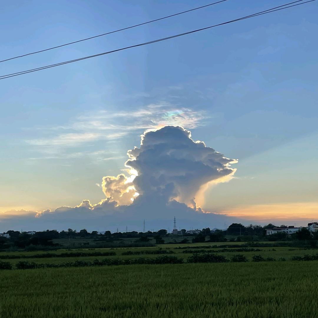 看，🐷在飞，心在跳