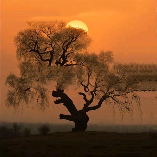 高四妹雅琳烟酒。