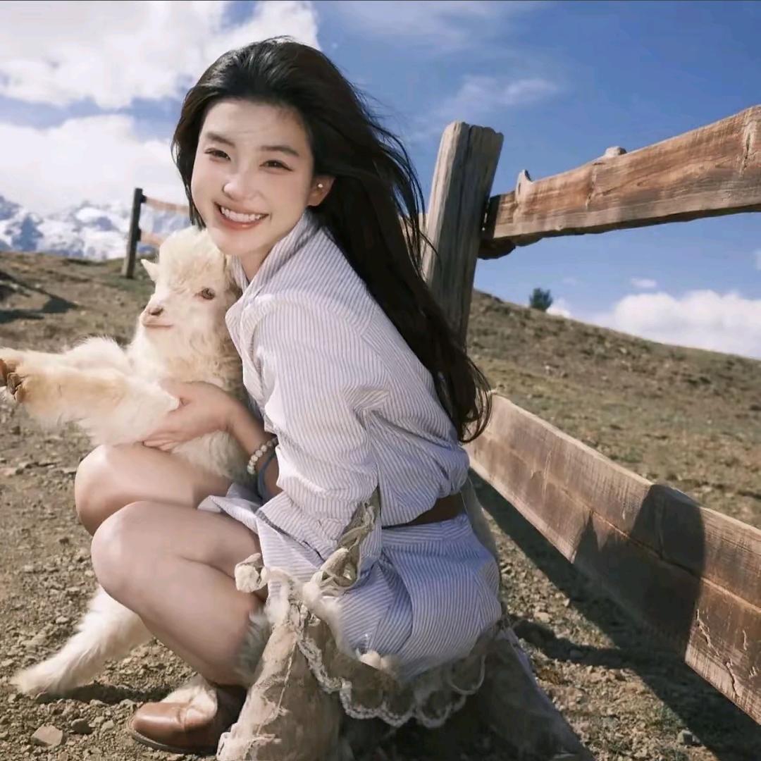 杨辰