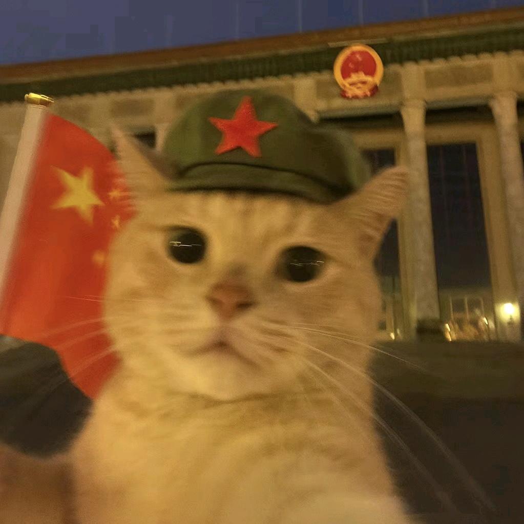 喵不讥