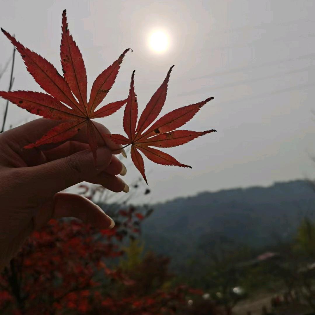 遥远的你