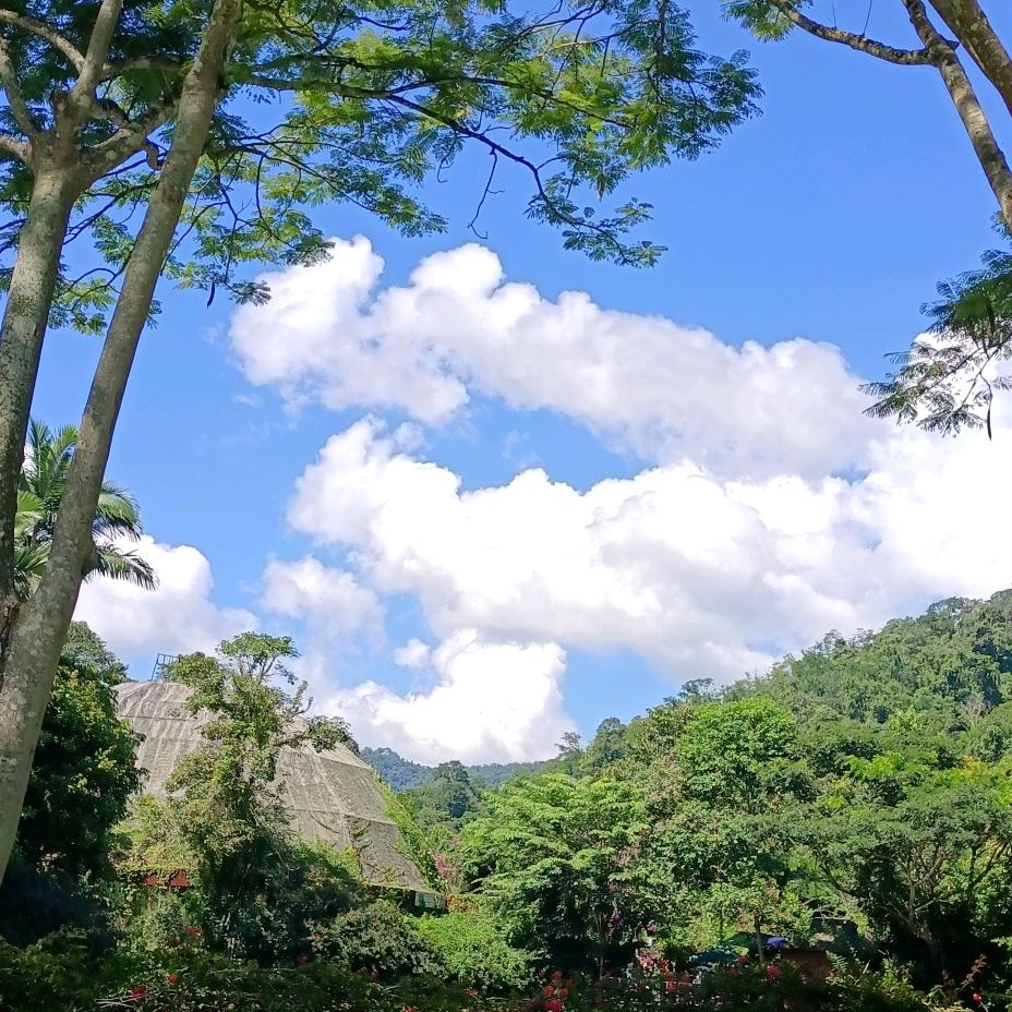 平安是福