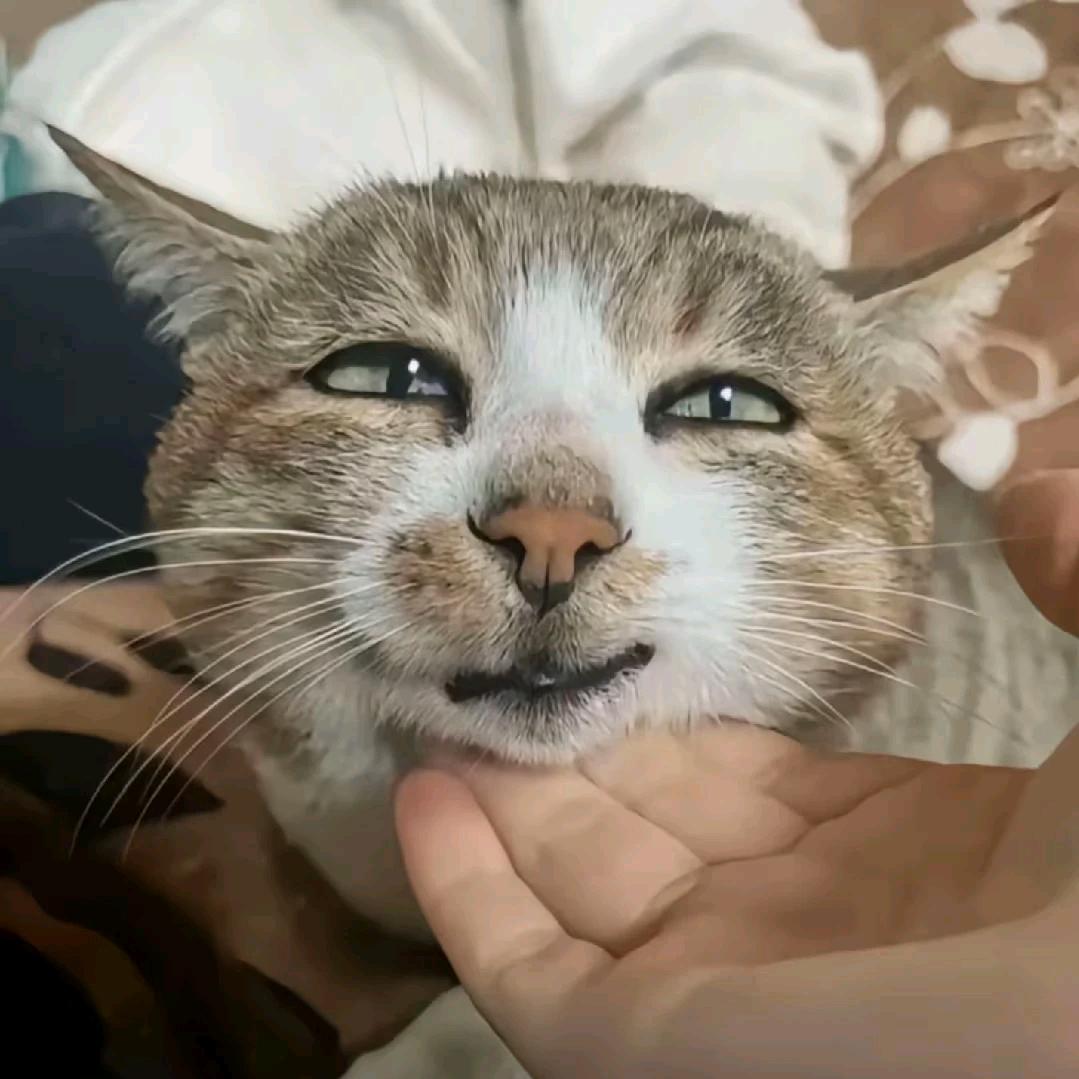 炯囧头像