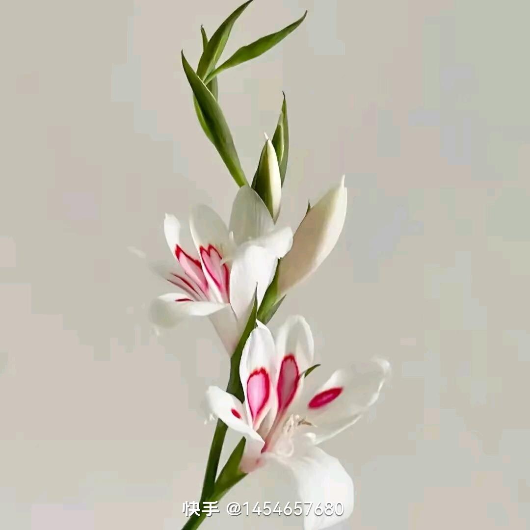 ღ ໑₂᭄₃ຼ💕₀娟💞