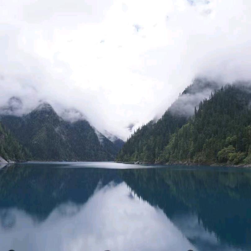 開馨